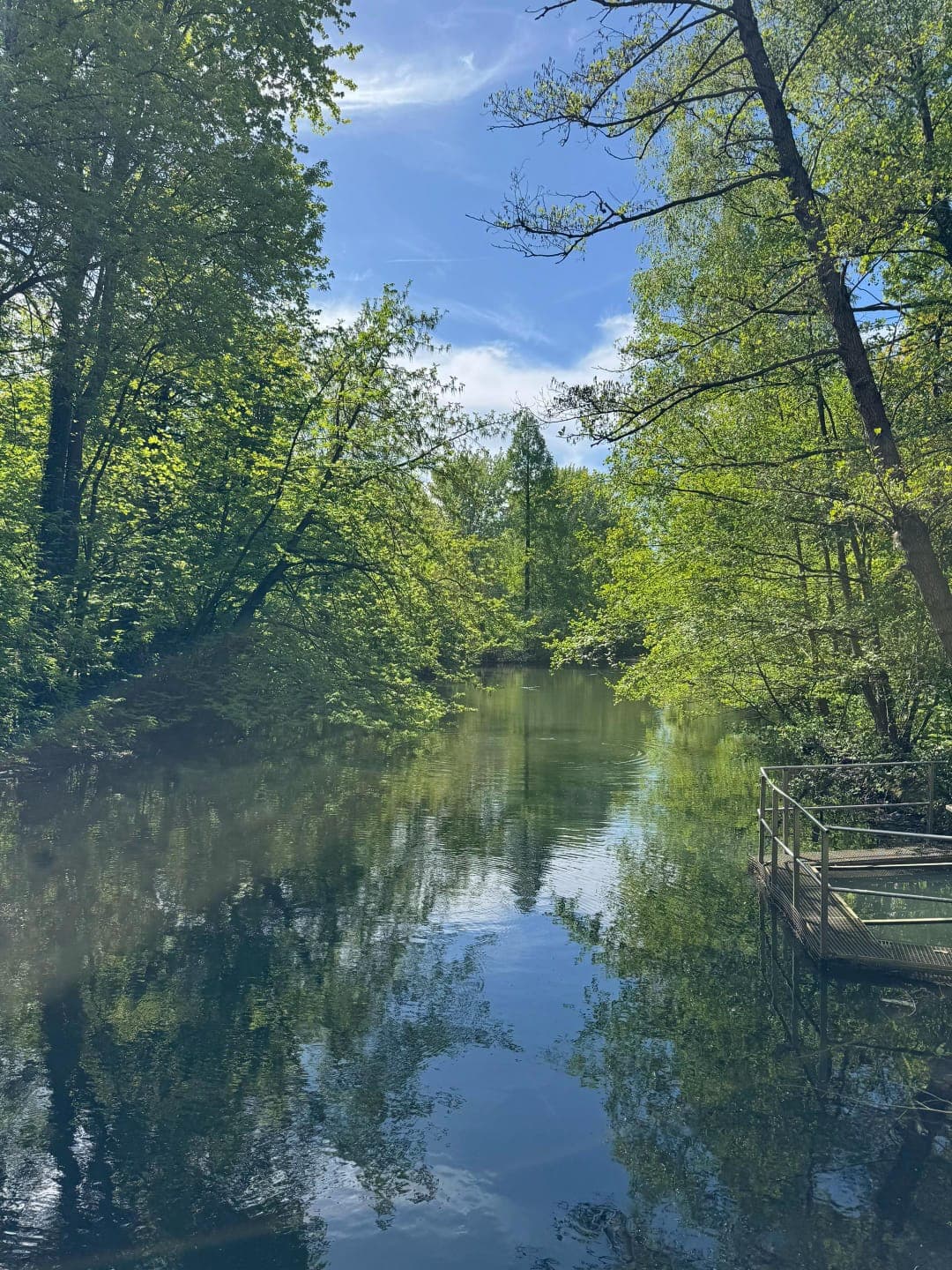Kaiser Garten Park — peaceful lake surrounded by lush green trees